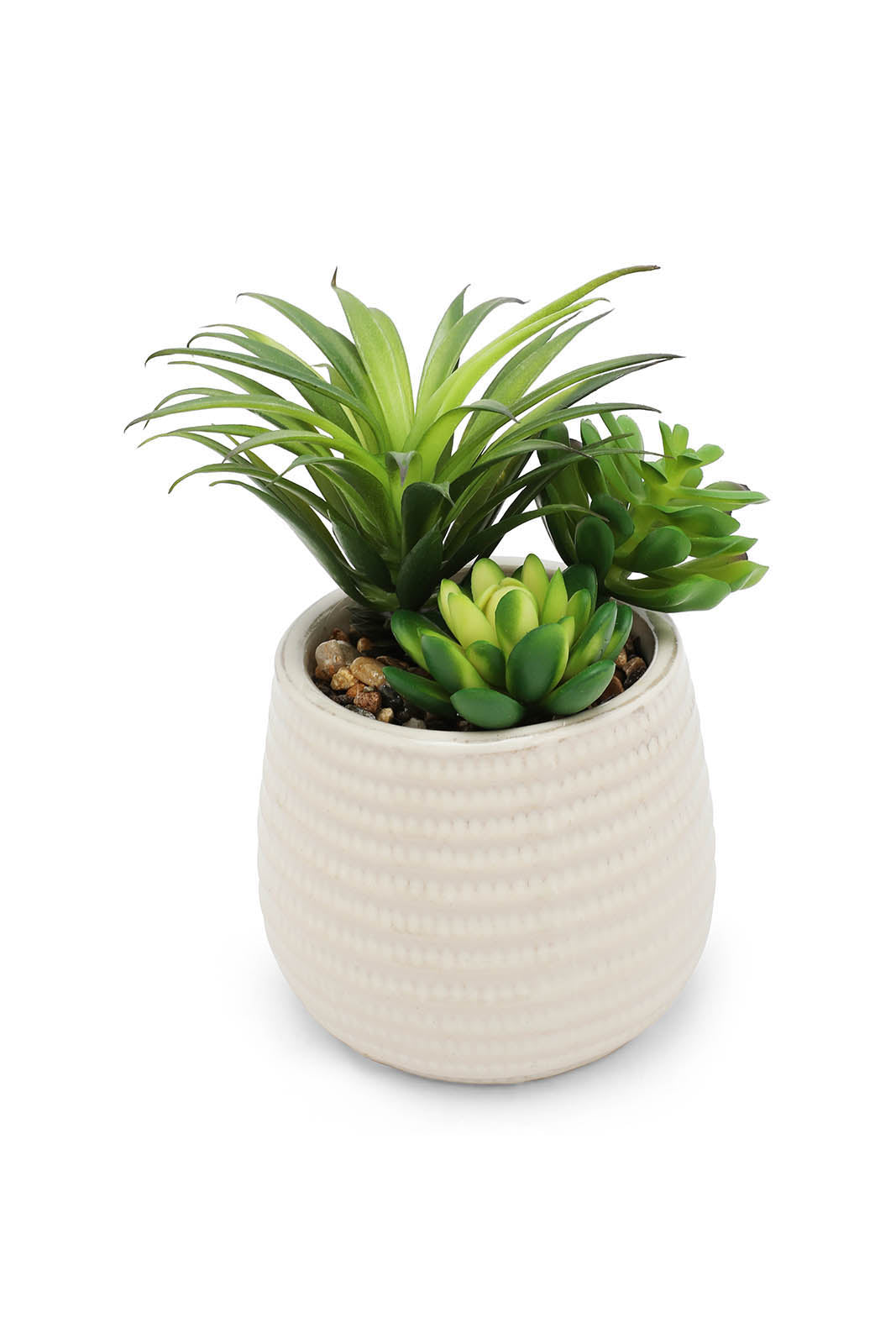 Redtag-Green-Artificial-Succulent-Assorted-Plant-In-Ceramic-Pot-Category:Plants-&-Flowers,-Colour:Green,-Deals:New-In,-Dept:Home,-Filter:Home-Decor,-HMW-HOM-Decorative-Accessories,-New-In-HMW-HOM,-Non-Sale,-Section:Homewares,-W22B-Home-Decor-