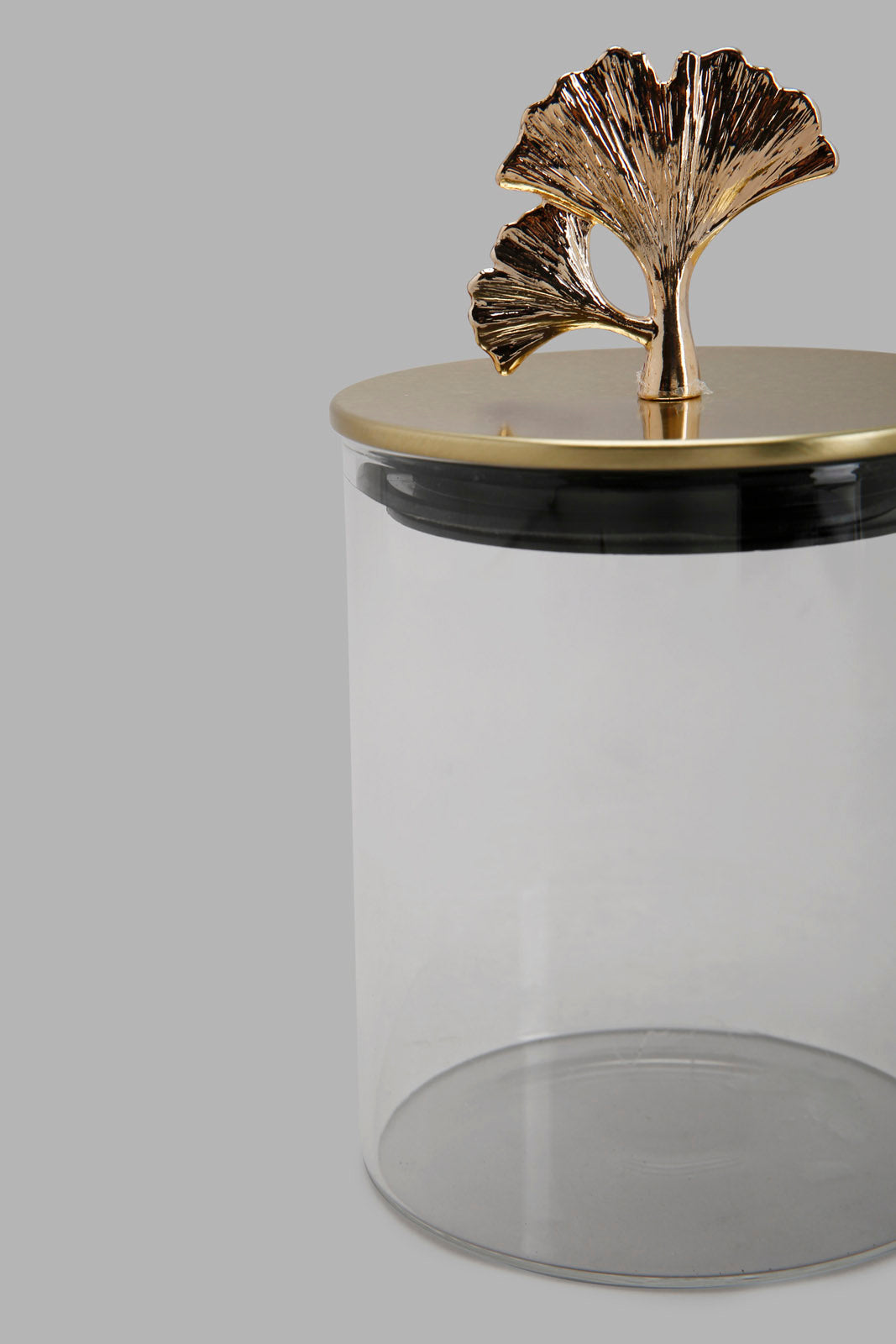 Redtag-Gold-Clear-Borosilicate-Glass-Jar-With-Metal-Lid-(Small)-Category:0,-Colour:Gold,-Deals:New-In,-Filter:Home-Dining,-HMW-DIN-Storage,-New-In-HMW-DIN,-Non-Sale,-Section:Homewares,-W22A-Home-Dining-