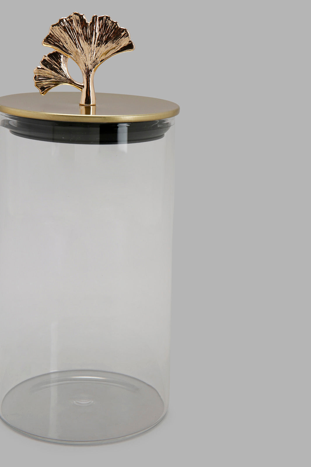 Redtag-Gold-Clear-Borosilicate-Glass-Jar-With-Metal-Lid-(Medium)-Category:0,-Colour:Gold,-Deals:New-In,-Filter:Home-Dining,-HMW-DIN-Storage,-New-In-HMW-DIN,-Non-Sale,-Section:Homewares,-W22A-Home-Dining-