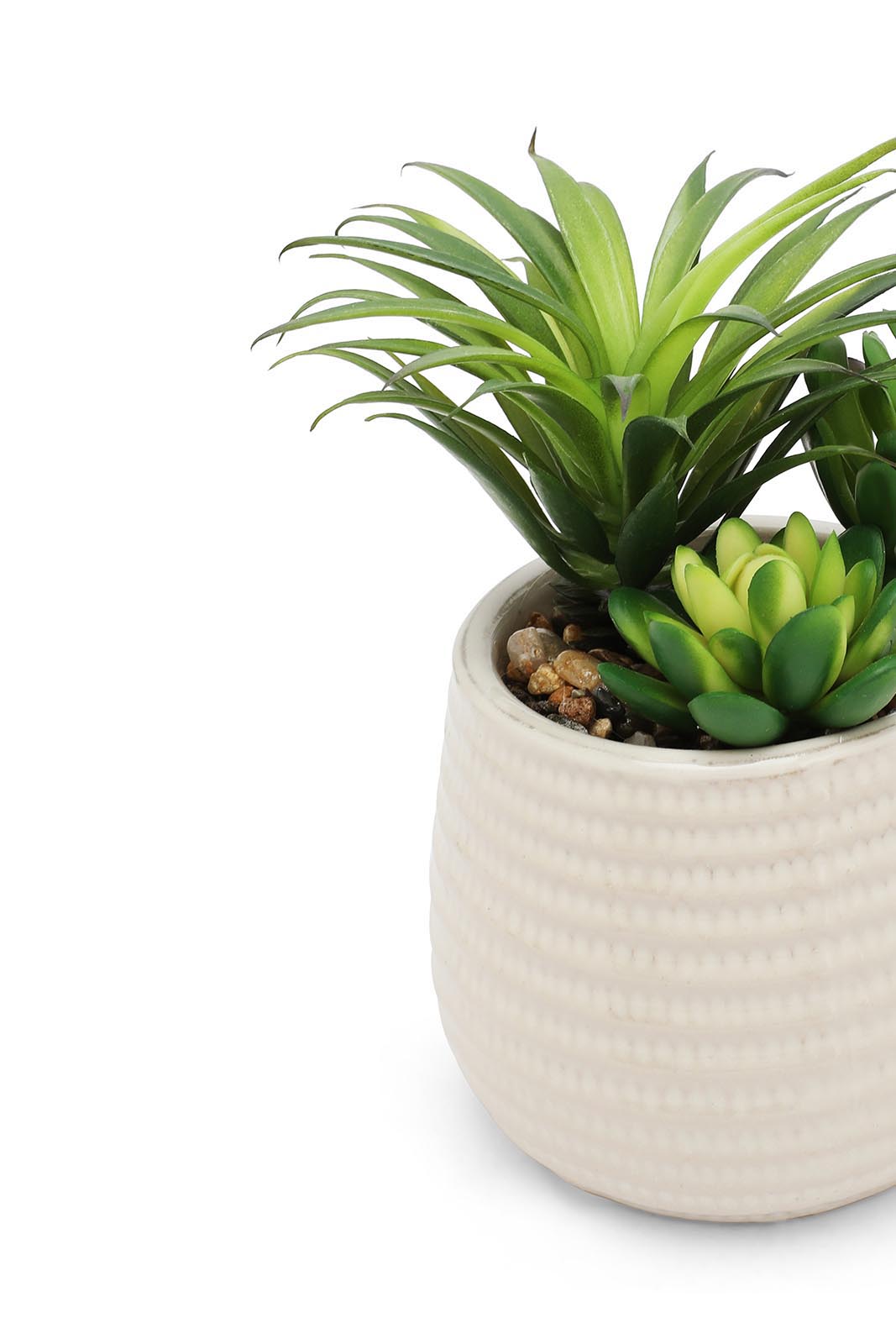 Redtag-Green-Artificial-Succulent-Assorted-Plant-In-Ceramic-Pot-Category:Plants-&-Flowers,-Colour:Green,-Deals:New-In,-Dept:Home,-Filter:Home-Decor,-HMW-HOM-Decorative-Accessories,-New-In-HMW-HOM,-Non-Sale,-Section:Homewares,-W22B-Home-Decor-