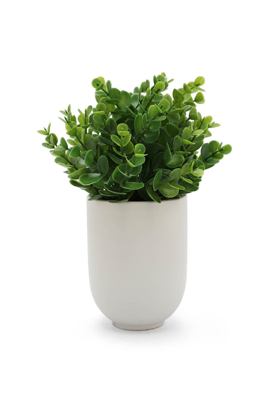 Redtag-Green-Artificial-Succulent-Leaf-U-Ceramic-Pot-Category:Plants-&-Flowers,-Colour:Green,-Deals:New-In,-Dept:Home,-Filter:Home-Decor,-HMW-HOM-Decorative-Accessories,-New-In-HMW-HOM,-Non-Sale,-Section:Homewares,-W22B-Home-Decor-