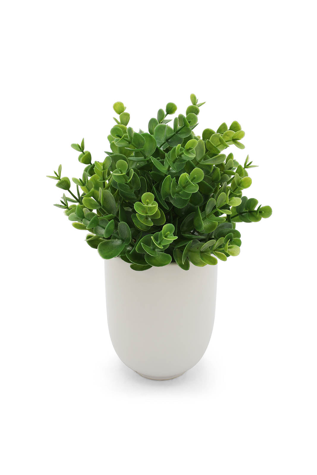 Redtag-Green-Artificial-Succulent-Leaf-U-Ceramic-Pot-Category:Plants-&-Flowers,-Colour:Green,-Deals:New-In,-Dept:Home,-Filter:Home-Decor,-HMW-HOM-Decorative-Accessories,-New-In-HMW-HOM,-Non-Sale,-Section:Homewares,-W22B-Home-Decor-