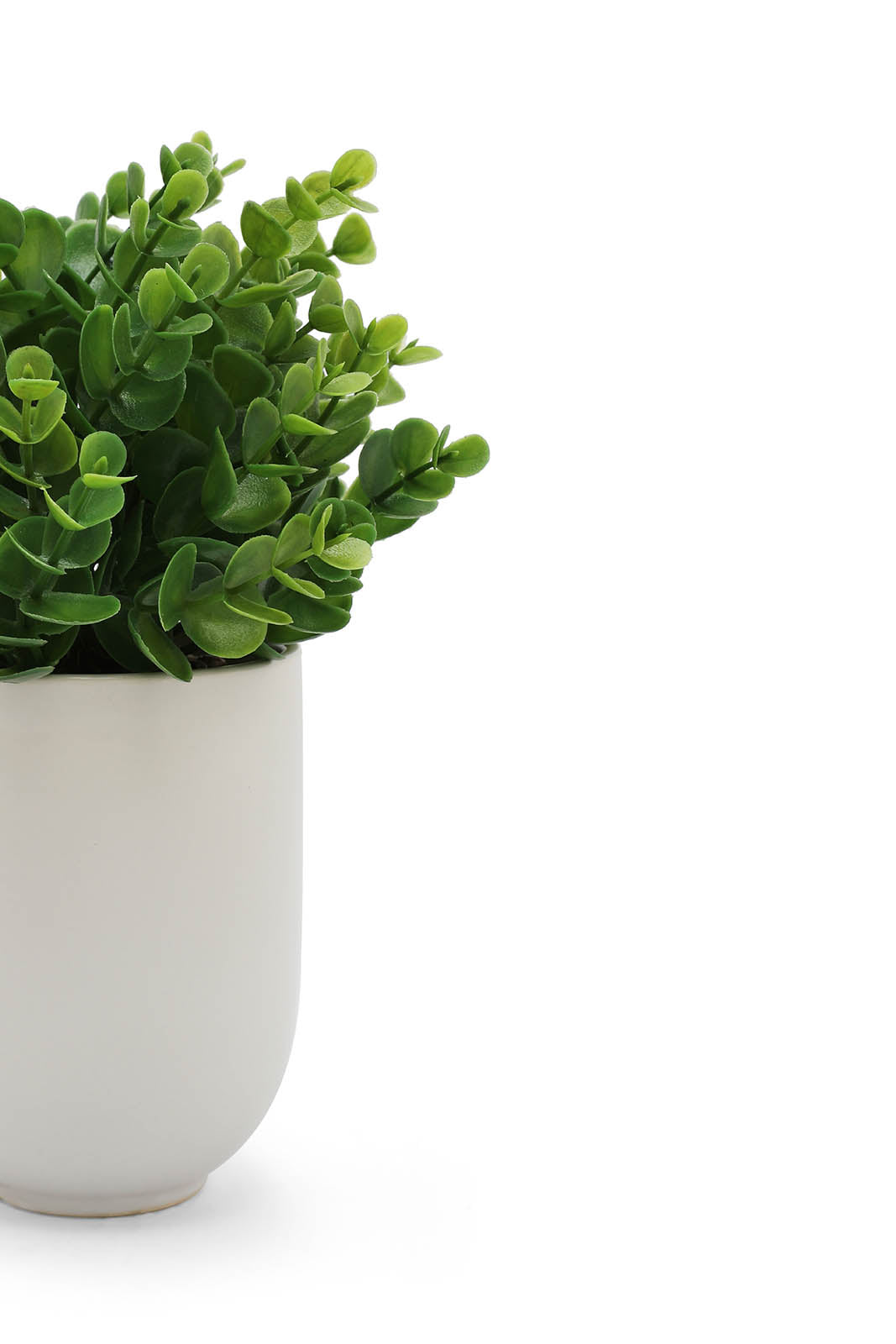 Redtag-Green-Artificial-Succulent-Leaf-U-Ceramic-Pot-Category:Plants-&-Flowers,-Colour:Green,-Deals:New-In,-Dept:Home,-Filter:Home-Decor,-HMW-HOM-Decorative-Accessories,-New-In-HMW-HOM,-Non-Sale,-Section:Homewares,-W22B-Home-Decor-