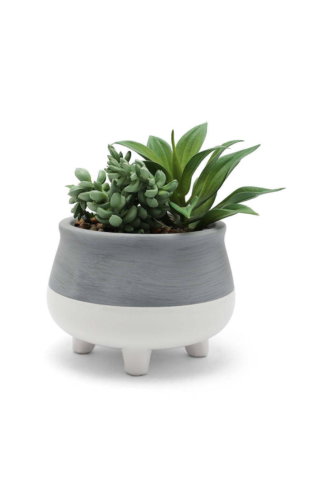Redtag-Green-Artificial-Succulent-Bunch-Plant-In-Ceramic-Pot-Category:Plants-&-Flowers,-Colour:Green,-Deals:New-In,-Dept:Home,-Filter:Home-Decor,-HMW-HOM-Decorative-Accessories,-New-In-HMW-HOM,-Non-Sale,-Section:Homewares,-W22B-Home-Decor-