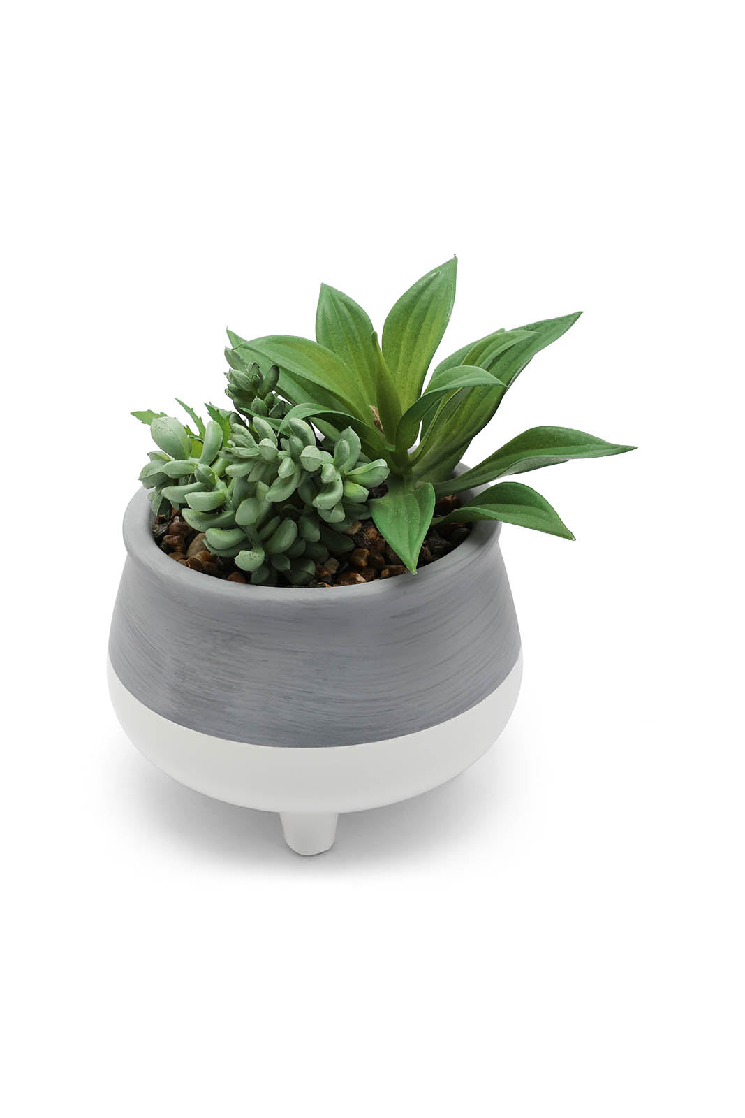 Redtag-Green-Artificial-Succulent-Bunch-Plant-In-Ceramic-Pot-Category:Plants-&-Flowers,-Colour:Green,-Deals:New-In,-Dept:Home,-Filter:Home-Decor,-HMW-HOM-Decorative-Accessories,-New-In-HMW-HOM,-Non-Sale,-Section:Homewares,-W22B-Home-Decor-
