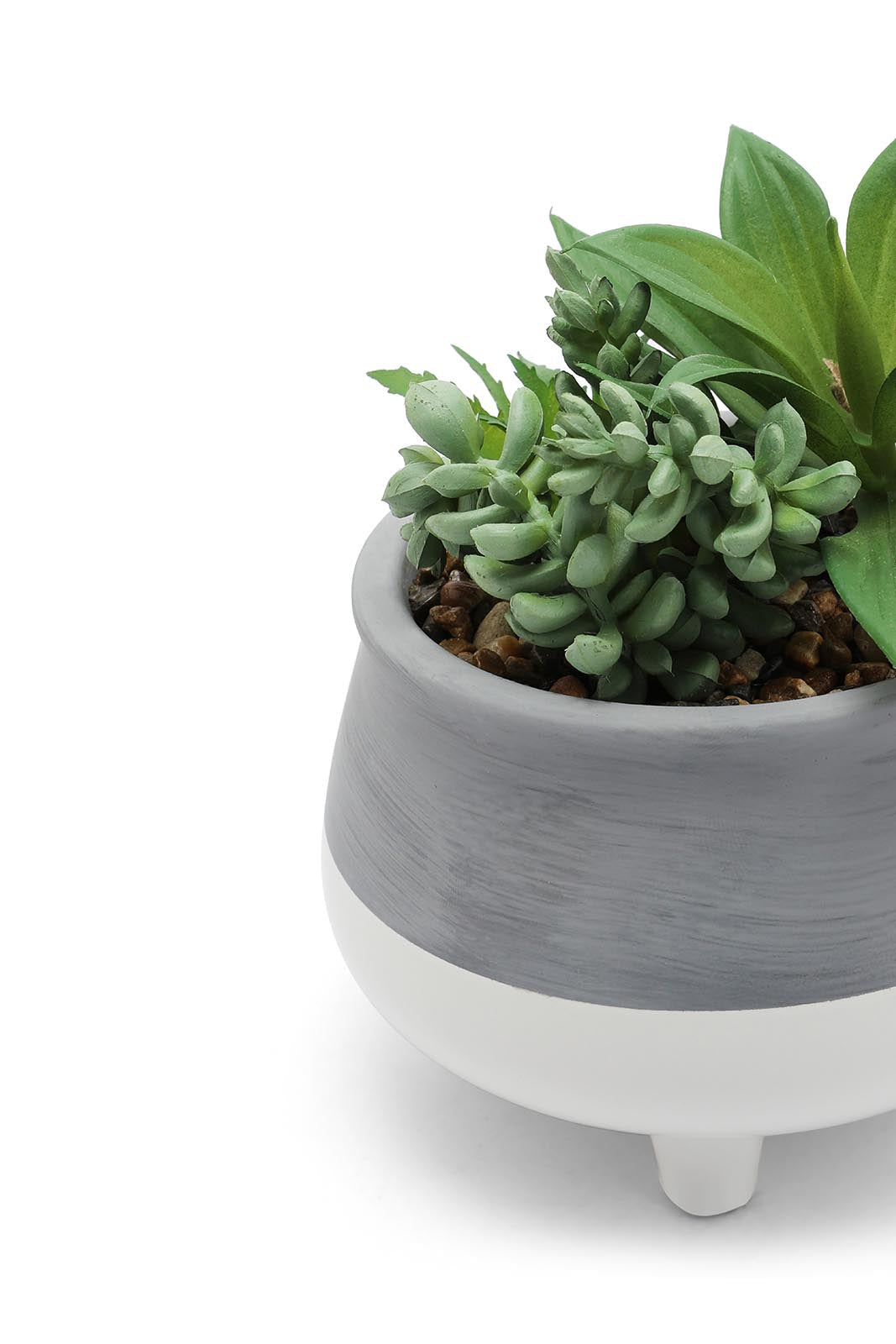 Redtag-Green-Artificial-Succulent-Bunch-Plant-In-Ceramic-Pot-Category:Plants-&-Flowers,-Colour:Green,-Deals:New-In,-Dept:Home,-Filter:Home-Decor,-HMW-HOM-Decorative-Accessories,-New-In-HMW-HOM,-Non-Sale,-Section:Homewares,-W22B-Home-Decor-