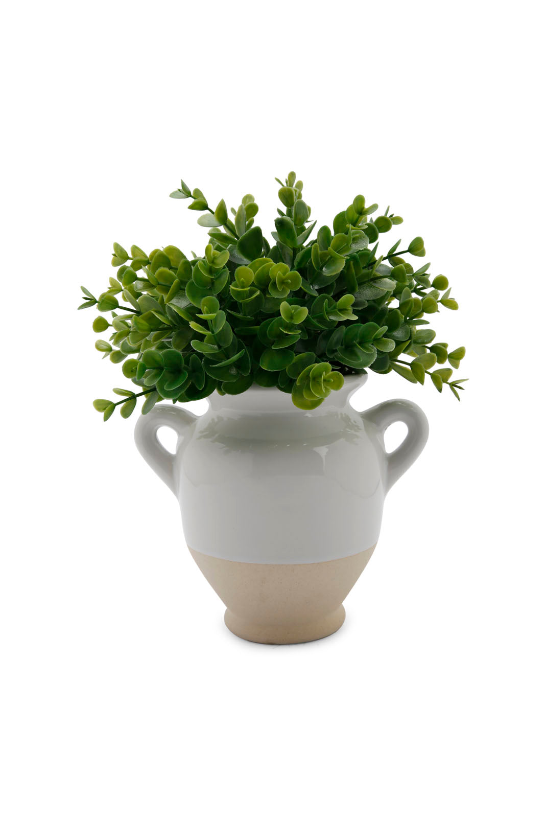 Redtag-Green-Artificial-Table-Plant-In-Ceramic-Jar-Category:Plants-&-Flowers,-Colour:Green,-Deals:New-In,-Dept:Home,-Filter:Home-Decor,-HMW-HOM-Decorative-Accessories,-New-In-HMW-HOM,-Non-Sale,-Section:Homewares,-W22B-Home-Decor-