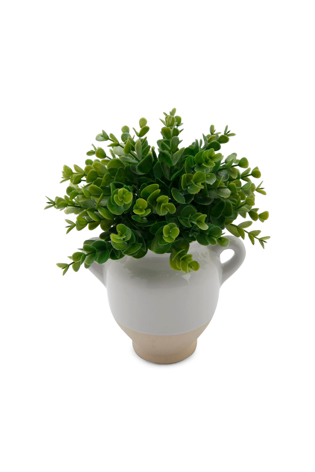 Redtag-Green-Artificial-Table-Plant-In-Ceramic-Jar-Category:Plants-&-Flowers,-Colour:Green,-Deals:New-In,-Dept:Home,-Filter:Home-Decor,-HMW-HOM-Decorative-Accessories,-New-In-HMW-HOM,-Non-Sale,-Section:Homewares,-W22B-Home-Decor-