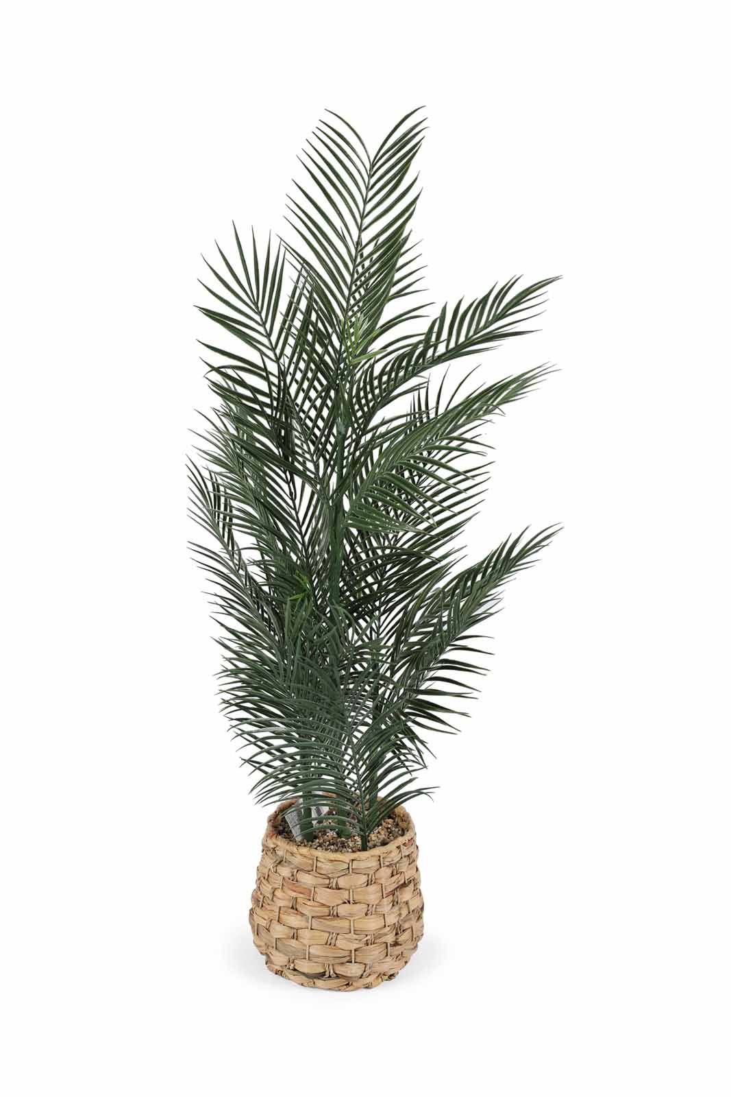 Redtag-Green-Artificial-Plant-With-Basket-93Cm-Category:Plants-&-Flowers,-Colour:Green,-Deals:New-In,-Dept:Home,-Filter:Home-Decor,-HMW-HOM-Decorative-Accessories,-New-In-HMW-HOM,-Non-Sale,-Section:Homewares,-W22B-Home-Decor-