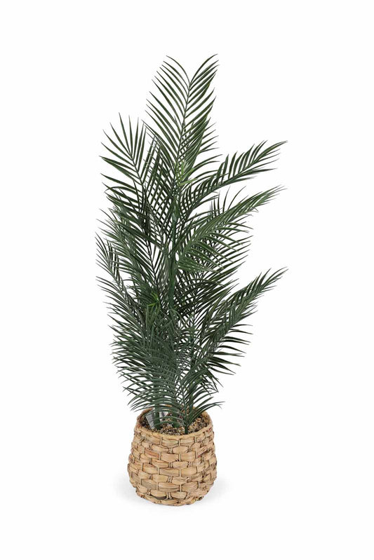 Redtag-Green-Artificial-Plant-With-Basket-93Cm-Category:Plants-&-Flowers,-Colour:Green,-Deals:New-In,-Dept:Home,-Filter:Home-Decor,-HMW-HOM-Decorative-Accessories,-New-In-HMW-HOM,-Non-Sale,-Section:Homewares,-W22B-Home-Decor-