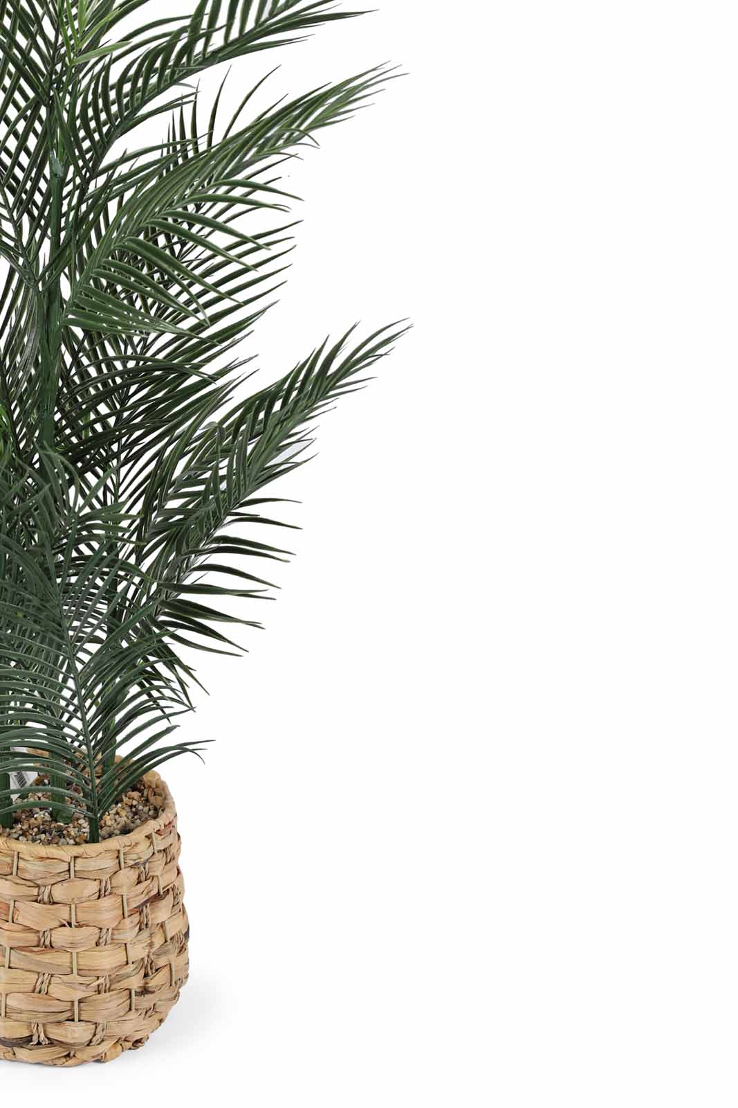 Redtag-Green-Artificial-Plant-With-Basket-93Cm-Category:Plants-&-Flowers,-Colour:Green,-Deals:New-In,-Dept:Home,-Filter:Home-Decor,-HMW-HOM-Decorative-Accessories,-New-In-HMW-HOM,-Non-Sale,-Section:Homewares,-W22B-Home-Decor-