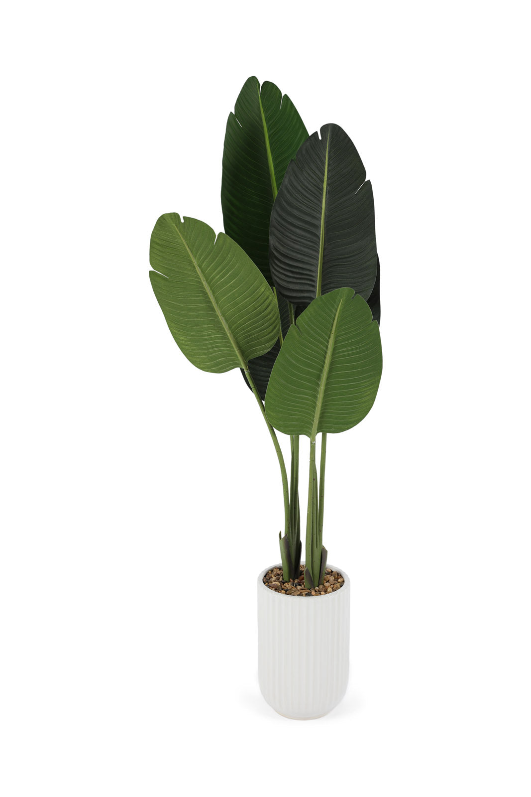 Redtag-Green-Artificial-Banana-Plant-With-Ceramic-White-Pot-120Cm-Category:Plants-&-Flowers,-Colour:Green,-Deals:New-In,-Dept:Home,-Filter:Home-Decor,-HMW-HOM-Decorative-Accessories,-New-In-HMW-HOM,-Non-Sale,-Section:Homewares,-W22B-Home-Decor-
