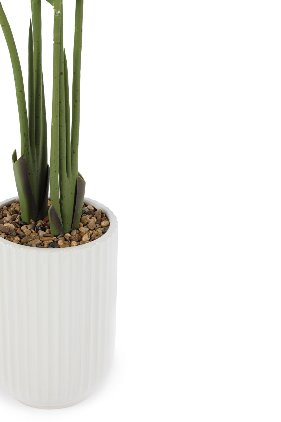 Redtag-Green-Artificial-Banana-Plant-With-Ceramic-White-Pot-120Cm-Category:Plants-&-Flowers,-Colour:Green,-Deals:New-In,-Dept:Home,-Filter:Home-Decor,-HMW-HOM-Decorative-Accessories,-New-In-HMW-HOM,-Non-Sale,-Section:Homewares,-W22B-Home-Decor-