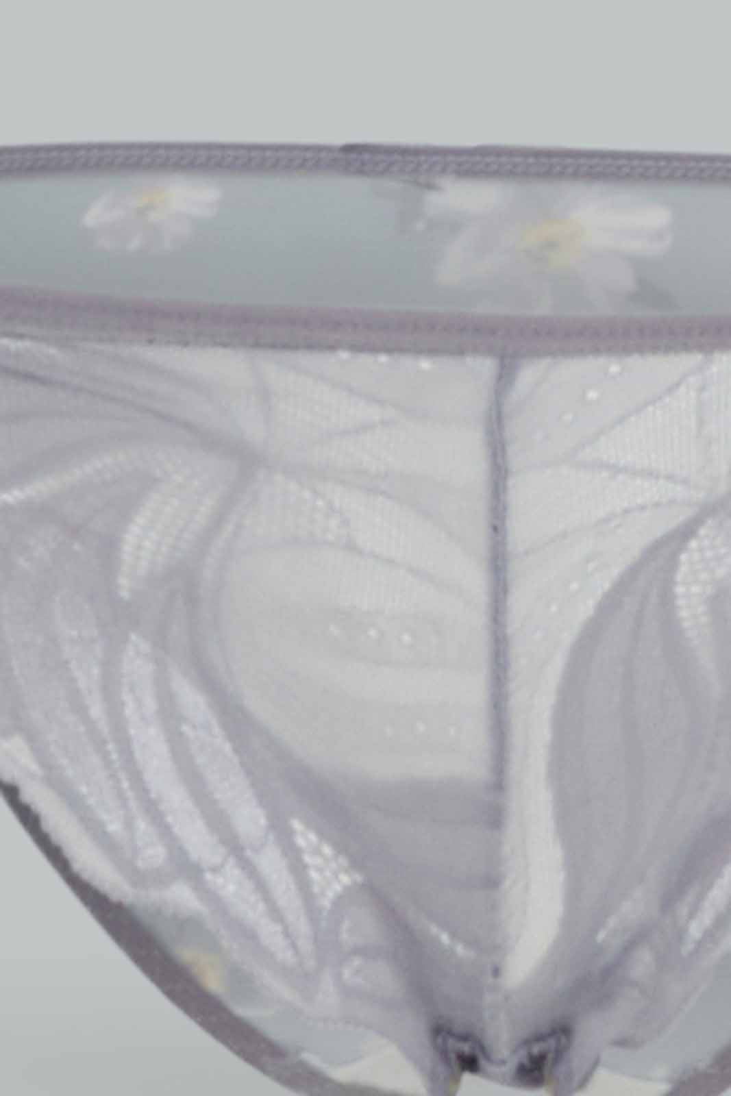 Redtag-Women-Pack-Of-2-Bikini-Brief-Printed-Solid-Category:Briefs,-Colour:Assorted,-Deals:New-In,-Dept:Ladieswear,-Filter:Women's-Clothing,-New-In-Women-APL,-Non-Sale,-Section:Women,-W22B,-Women-Briefs--