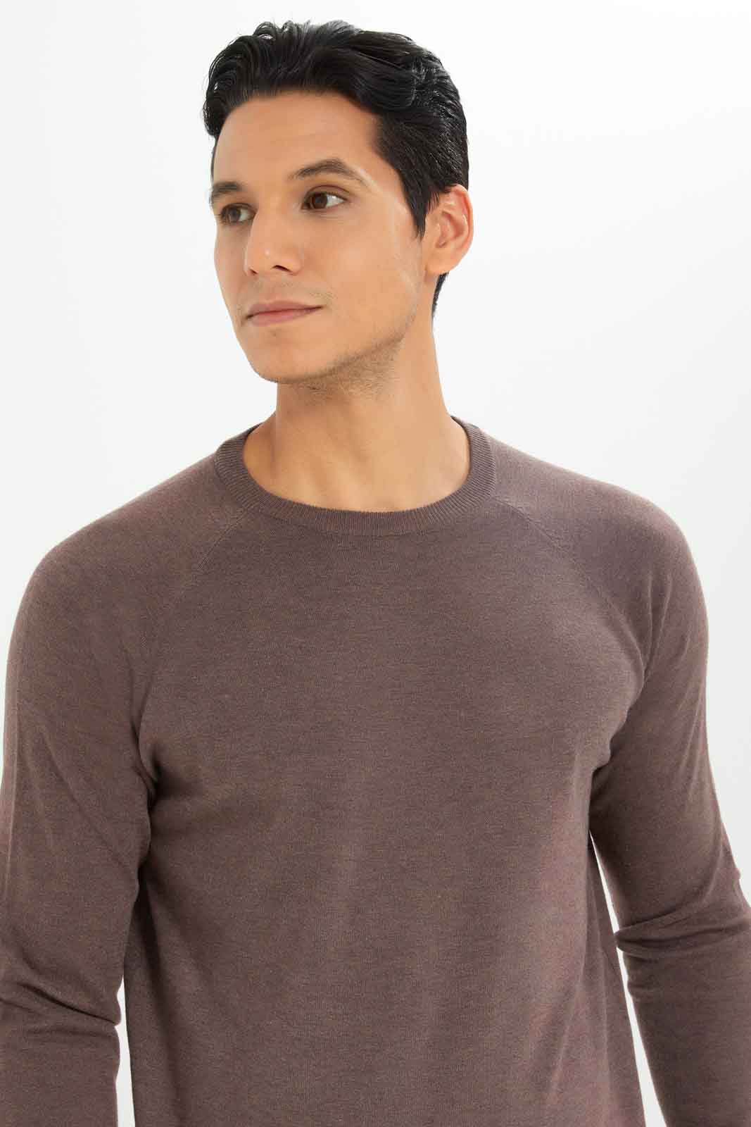 Redtag-Men-Brown-Crew-Neck-Sweater-Category:Cardigans,-Colour:Brown,-Deals:New-In,-Dept:Menswear,-Filter:Men's-Clothing,-Men-Cardigans,-New-In-Men-APL,-Non-Sale,-S23A,-Section:Men,-TBL-Men's-