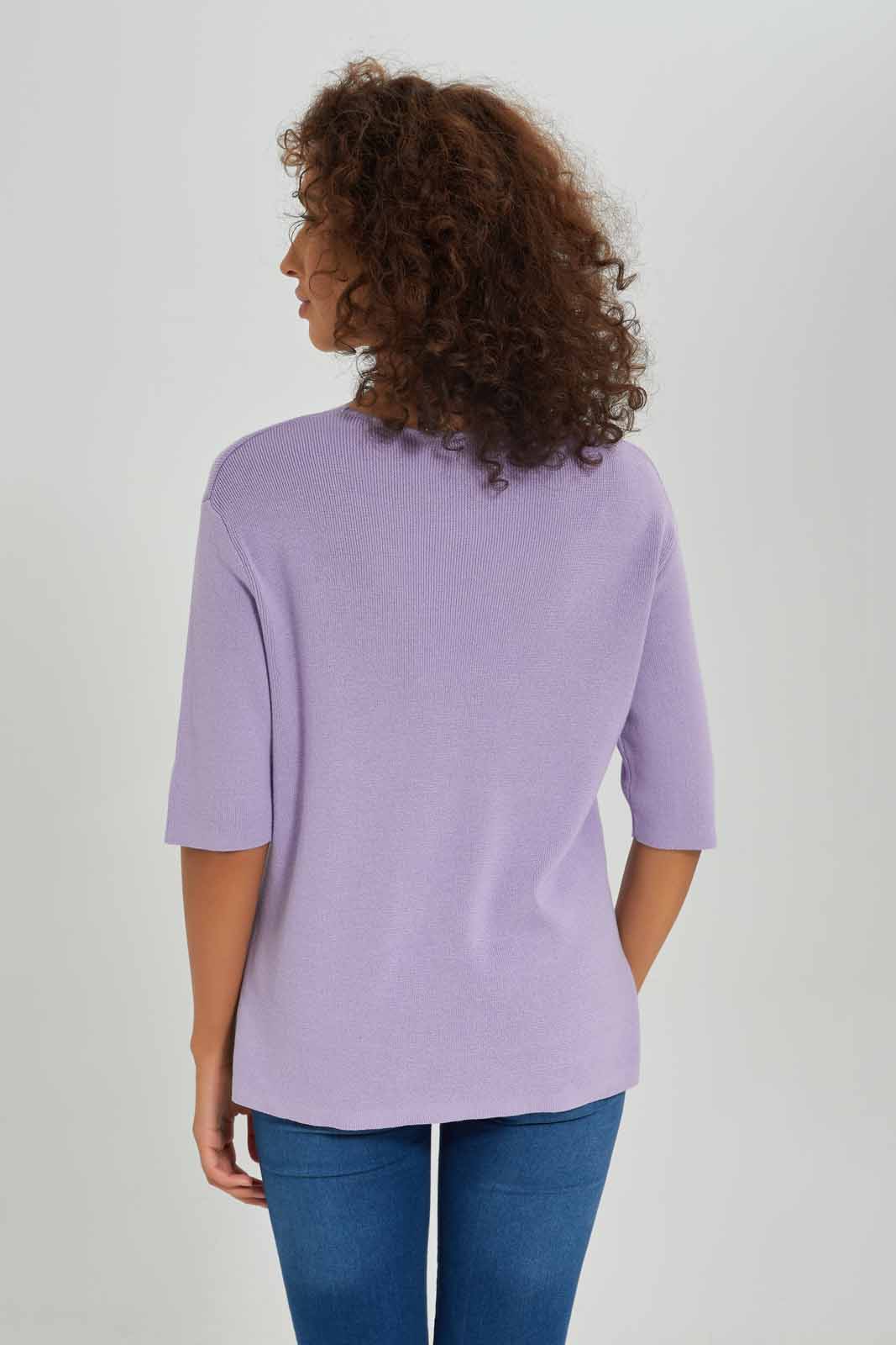 Redtag-Women-Lilac-Short-Sleeve-V-Neck-Pullover-Category:Pullovers,-Colour:Lilac,-Deals:New-In,-Dept:Ladieswear,-Filter:Women's-Clothing,-New-In-Women-APL,-Non-Sale,-S23A,-Section:Women,-Women-Pullovers-Women's-